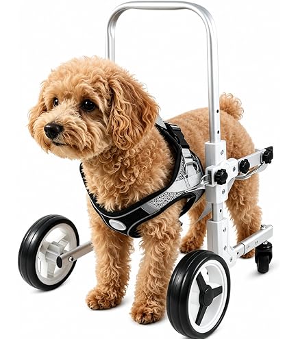 Amazon.co.jp: 犬用4輪車椅子 歩行器 8キロ以下 オーダーメイド